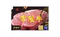 茨城県産　黒毛和牛 常陸牛サーロインステーキ2枚(1枚330g×2枚)【1471925】