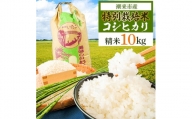 2024年4月発送開始『定期便』特別栽培米コシヒカリ精米10kg全3回【5145853】