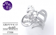 指輪 天然 ダイヤモンド 0.07ct デザイン SIクラス Denisドニ【pt950】r-247（KRP）Z001-1410