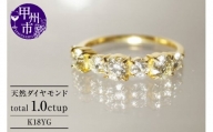 指輪 天然 ダイヤモンド 1.0ct ハーフ エタニティー SIクラス Germaineジェルメーヌ【K18YG】r-167（KRP）Q24-1410