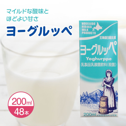 北海道 日高乳業【ヨーグルッペ】 200ml × 48本 飲料 ジュース 乳酸菌 乳酸菌飲料 パック 121785 - 北海道日高町