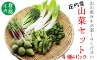 食の都庄内　庄内産季節の山菜セット（4種4パック）