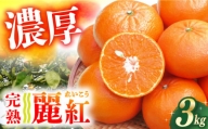 【ご家庭用】 麗紅（れいこう） 3kg 長与町/果豊園 [ECL001] みかん 柑橘 フルーツ 季節限定 みかん 先行予約