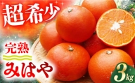 【ご家庭用】 みはや 3kg 長与町/果豊園 [ECL004] みかん 柑橘 フルーツ 季節限定 ミカン 先行予約