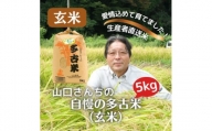 山口さんちの＜令和5年産＞多古米コシヒカリ(玄米)5kg【1481142】