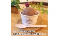 アイス専門店の作るこだわりアイスクリーム12個セット　チョコアイス　各120ml入り TY0-0454