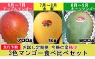 【お試し定期便】稀少3色マンゴー食べ比べセット（赤・黄・緑）【2024年　赤：6～7月頃　黄：7～8月頃　緑：8～9月頃発送】生産者直送