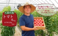 大蔵村特産品　トマト　約4kg