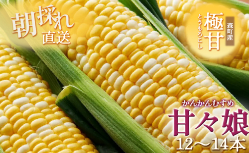 とうもろこし 先行予約 甘々娘 12～14本 幻のとうもろこし 朝どれ 甘い 野菜 夏野菜 旬 夏 高糖度 産地直送 旬の野菜 季節の野菜 新鮮野菜 おやつ コーン 先行 予約 2026 2026年 静岡 森町 冷蔵 冷蔵配送 1219047 - 静岡県森町