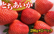 いちご（とちあいか） 290g×2パック 580g以上｜先行予約 数量限定 栃木県 果物 くだもの フルーツ 苺 イチゴ ※2024年11月下旬頃～2025年3月下旬頃に順次発送予定