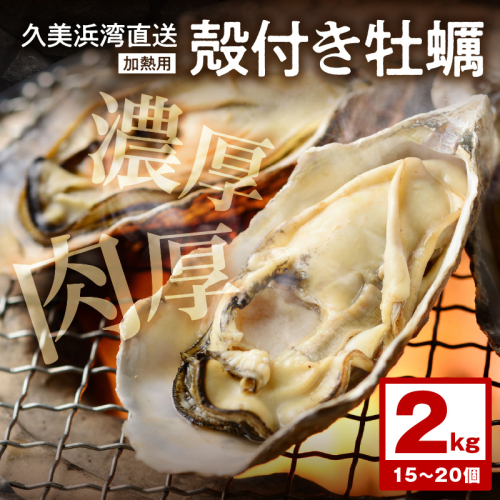 朝採れ、鮮度抜群！濃厚！肉厚！久美浜湾直送　殻付き牡蠣2kg(15～20個) 1219328 - 京都府京丹後市