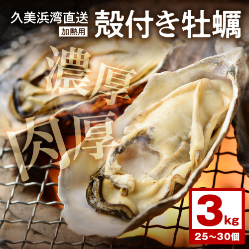 朝採れ、鮮度抜群！濃厚！肉厚！久美浜湾直送　殻付き牡蠣3kg(25～30個) 1219329 - 京都府京丹後市