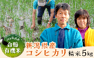 新潟県産コシヒカリ有機米（合鴨農法）5kg【伊藤農園】