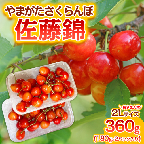 やまがた さくらんぼ 佐藤錦 "希少な大粒" 2Lサイズ 360g(180g×2パック入り) 1箱【令和8年産先行予約】FS25-573 1219918 - 山形県山形市