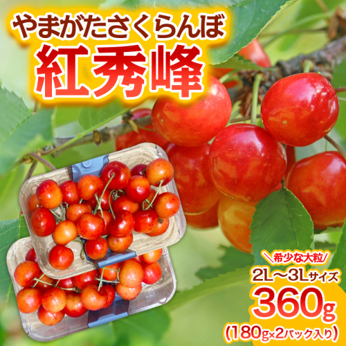 やまがた さくらんぼ 紅秀峰 "希少な大粒" 2L～3Lサイズ 360g(180g×2パック入り) 1箱【令和8年産先行予約】FS25-574 1219921 - 山形県山形市