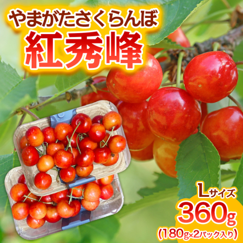 やまがた さくらんぼ 紅秀峰 Lサイズ 360g(180g×2パック入り) 1箱【令和8年産先行予約】FS25-575 1219924 - 山形県山形市