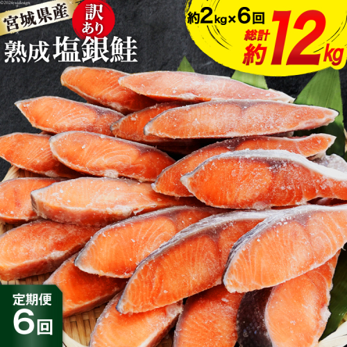 定期便 《6ヶ月連続お届け》 訳あり 宮城県産 熟成 銀鮭 切身 約2kg×6回 計12kg [宮城東洋 宮城県 気仙沼市 20564499] 魚 鮭 海鮮 国産 さけ 鮭 甘口 サケ 鮭切身 シャケ 切り身 冷凍 おかず 弁当 支援 事業者支援 サーモン 1219932 - 宮城県気仙沼市