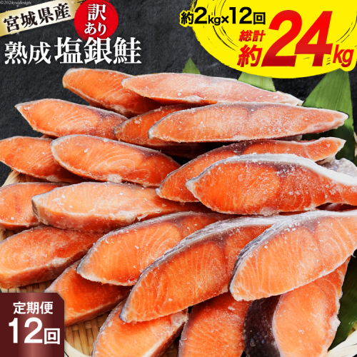 定期便 《12ヶ月連続お届け》 訳あり 宮城県産 熟成 銀鮭 切身 約2kg×12回 計24kg [宮城東洋 宮城県 気仙沼市 20564498] 魚 鮭 海鮮 国産 さけ 鮭 甘口 サケ 鮭切身 シャケ 切り身 冷凍 おかず 弁当 支援 事業者支援 サーモン 1219935 - 宮城県気仙沼市