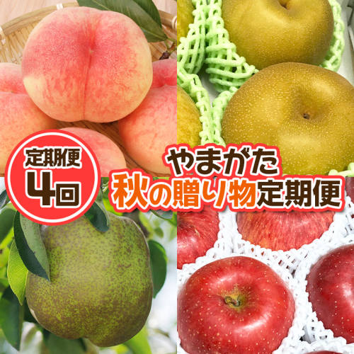 【定期便4回】やまがた 秋の贈り物定期便【令和8年産先行予約】FU23-877 1220045 - 山形県山形市