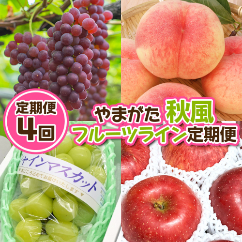 【定期便4回】やまがた 秋風フルーツライン定期便【令和8年産先行予約】FU23-878 1220048 - 山形県山形市