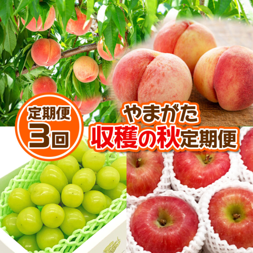 【定期便3回】やまがた 収穫の秋定期便【令和8年産先行予約】FS24-535 1220050 - 山形県山形市