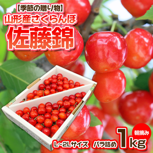 【季節の贈り物】さくらんぼ 佐藤錦 1kg バラ詰め 朝摘み【令和9年産先行予約】FS25-509 1220051 - 山形県山形市