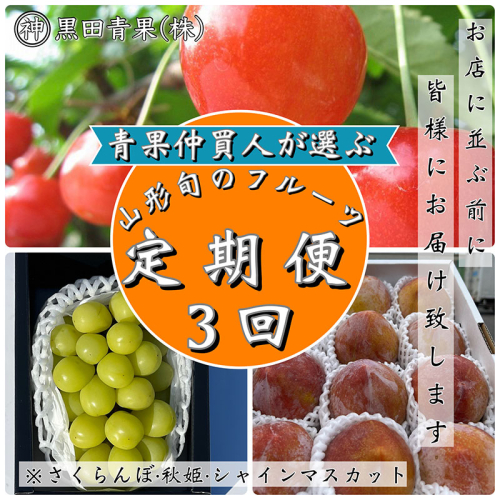【定期便3回】青果仲買人が選ぶ！山形旬のフルーツ3選！[さくらんぼ・秋姫・シャインマスカット]【令和8年産先行予約】FS23-891 1220125 - 山形県山形市