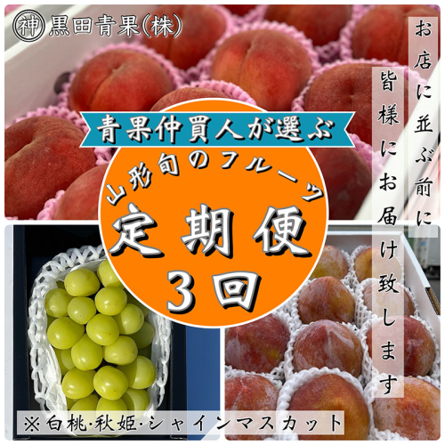 【定期便3回】青果仲買人が選ぶ！山形旬のフルーツ3選！[白桃・秋姫・シャインマスカット]【令和8年産先行予約】FS24-599 1220127 - 山形県山形市