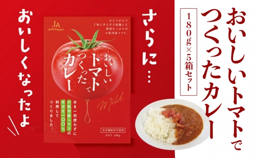 おいしいトマトでつくったカレー5箱セット　008035 1220128 - 石川県小松市