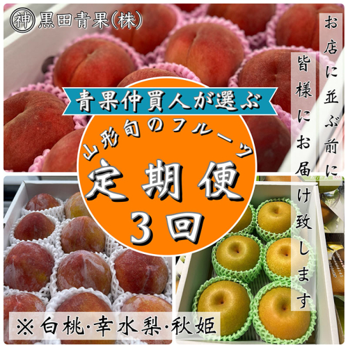 【定期便3回】青果仲買人が選ぶ！山形旬のフルーツ3選！[白桃・幸水梨・秋姫]【令和8年産先行予約】FS24-596 1220132 - 山形県山形市