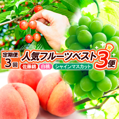 【定期便3回】人気フルーツベスト３便 (佐藤錦・白桃・シャインマスカット)【令和8年産先行予約】FS25-620 1220164 - 山形県山形市