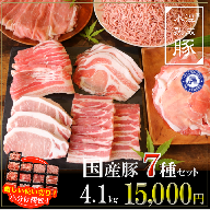 015B072 氷温(R)熟成豚 国産豚7種セット 合計4.1kg（大容量 13パック）