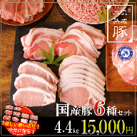 015B073 氷温(R)熟成豚 国産豚6種セット 合計4.4kg（大容量 14パック）