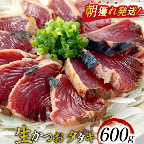 朝獲れ 産地直送 冷蔵便 生かつおタタキ 600g（2～3筋） タレ付 真空パック [阿部長商店 宮城県 気仙沼市 20564103] 冷蔵 鮮魚 魚 かつお カツオ 鰹 刺身 冷蔵 季節限定 カツオタタキ かつおタタキ 1220358 - 宮城県気仙沼市