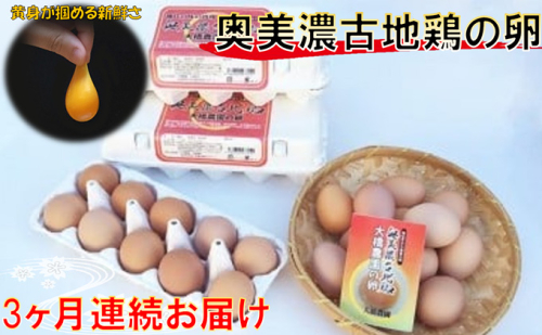 卵 定期便 3ヶ月 神代の味の再現 奥美濃古地鶏の卵 鶏卵 たまご 玉子 お楽しみ 122053 - 岐阜県海津市