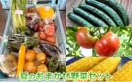 おおにし農園の夏のおまかせ野菜セット　三田市産[№5337-0291]