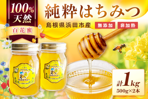 水のきれいな浜田市金城町産「いわみの里山 純粋はちみつ」500g×2本 【184_1904】 1220736 - 島根県浜田市