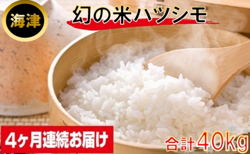 米 定期便 10kg 4ヶ月 幻の米 ハツシモ 122084 - 岐阜県海津市