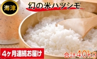幻の米ハツシモ10kg(4ヶ月連続届)