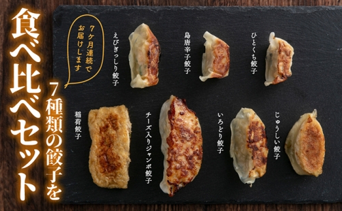 7カ月連続で7種類の餃子を食べ比べセット 122117 - 岐阜県海津市