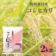【精米】竹原田ファームのコシヒカリ2kg