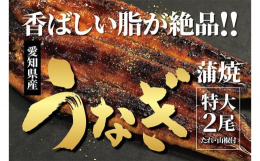 【特大・国産うなぎ２尾・ふわふわ食感が活きる「真空なし」】養鰻場を知るこだわり大将の絶品うなぎ新鮮！元気！養殖業を経験し稚魚からうなぎを知り尽くす！うまいうなぎを見極めて、職人技で焼き上げる絶品うなぎ