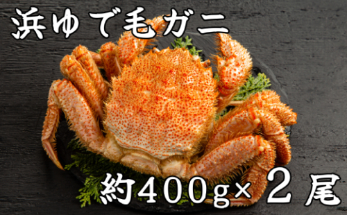 37-12 流氷明け浜ゆで毛ガニ約400g×2尾 122235 - 北海道紋別市