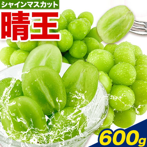 ぶどう【2026年先行予約】シャインマスカット 晴王 1房 600g 岡山県産《2026年9月上旬-10月末頃出荷(土日祝除く)》 ハレノフルーツ マスカット 送料無料 岡山県 浅口市 フルーツ 果物 贈り物 ギフト 国産 岡山県産 くだもの 青果物 【配送不可地域あり】 1223033 - 岡山県浅口市