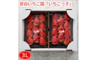 菅谷いちご園の完熟いちご『いちごっ子』 3Lサイズ 11粒×2パック【1484628】