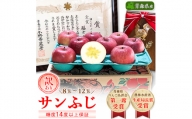 りんご「サンふじ」糖度14度以上保証 約3kg 訳あり 家庭用【1106865】