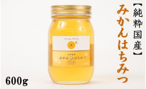 ［純粋国産］和歌山県産みかんはちみつ600g★2026年7月下旬発送［TM55］ 1224101 - 和歌山県那智勝浦町