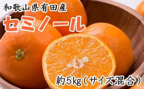  有田産セミノールオレンジ約5kg(サイズ混合) 1224152 - 和歌山県那智勝浦町