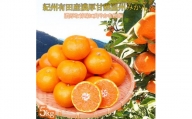 季節の柑橘定期便（みかん・不知火・清見オレンジ） 全3回 【1・2・3月発送】