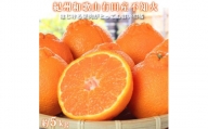 季節の柑橘とシャインマスカットの定期便（不知火・清見オレンジ・シャインマスカット） 全3回 【2・3・8月発送】